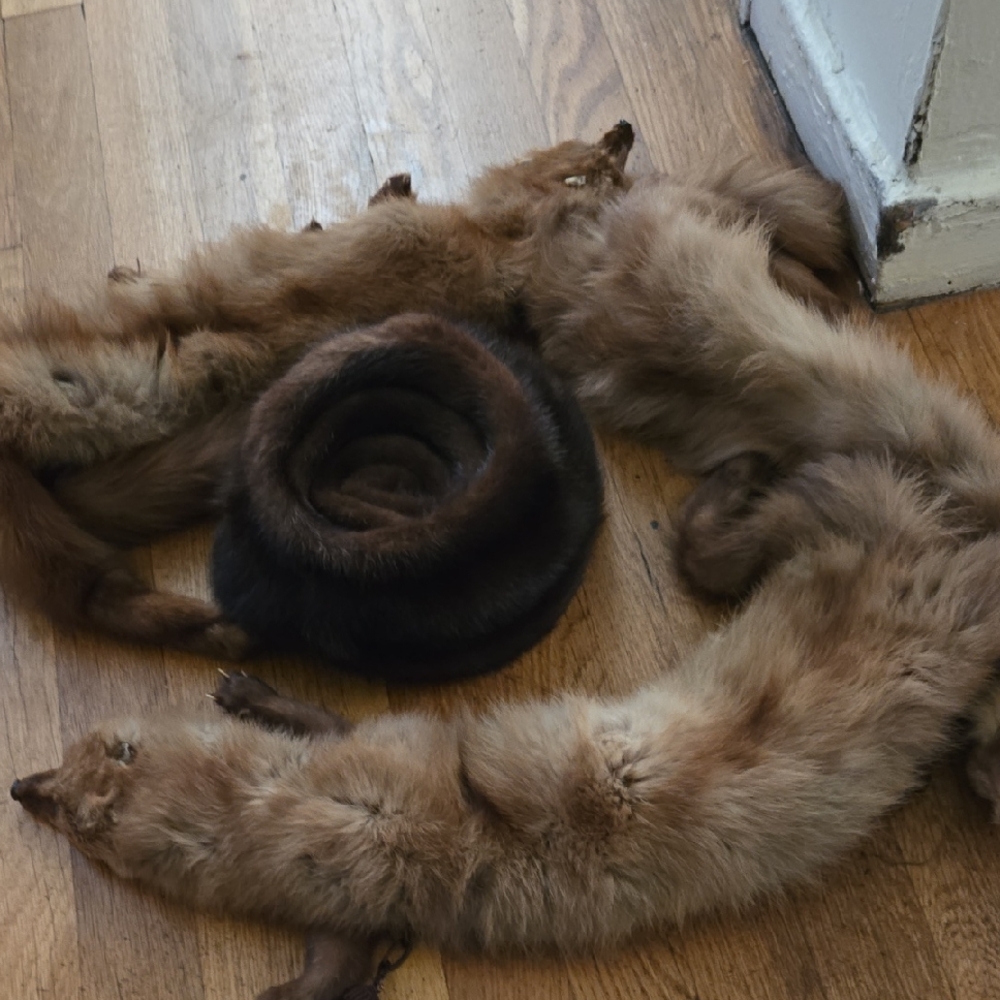 Elegant Brown Fur Wrap